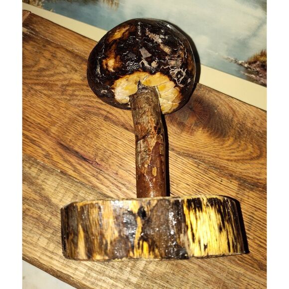 Handcrafted Mushroom/Tree Art Made from Small Live Oak Burl - Unique and Rustic - Picture 7 of 11